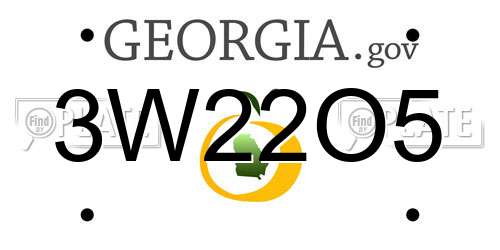 3W22O5 Georgia License Plate