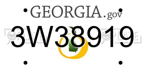 3W38919 Georgia License Plate