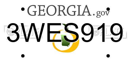 3WES919 Georgia License Plate