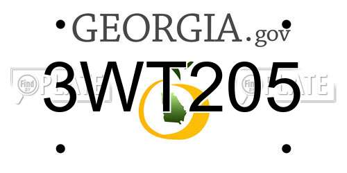 3WT205 Georgia License Plate