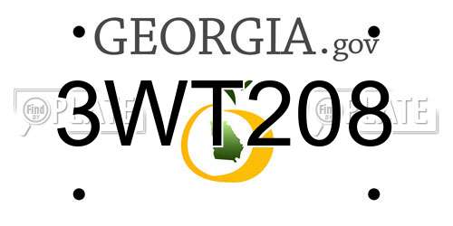 3WT208 Georgia License Plate