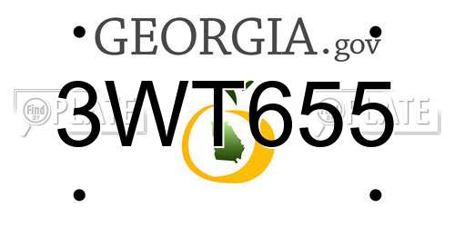 3WT655 Georgia License Plate