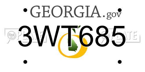 3WT685 Georgia License Plate