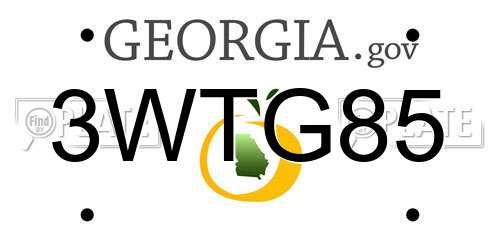 3WTG85 Georgia License Plate