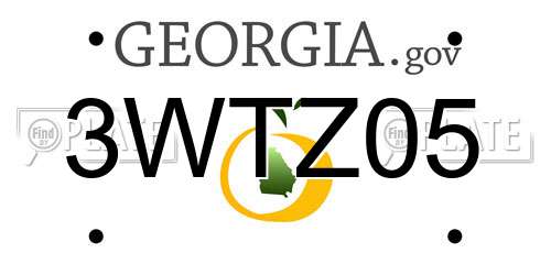 3WTZ05 Georgia License Plate
