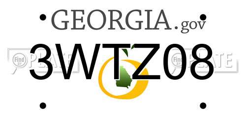 3WTZ08 Georgia License Plate