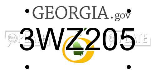 3WZ205 Georgia License Plate