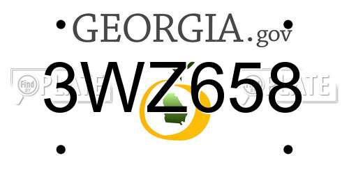 3WZ658 Georgia License Plate