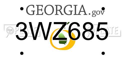 3WZ685 Georgia License Plate