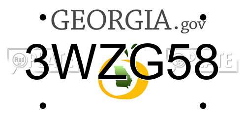 3WZG58 Georgia License Plate
