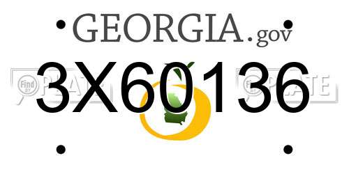 3X60136 Georgia License Plate