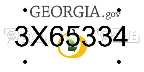 3X65334 Georgia License Plate