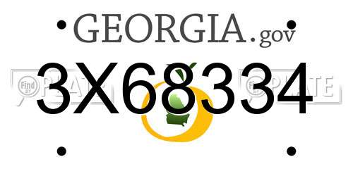 3X68334 Georgia License Plate
