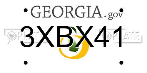 3XBX41 Georgia License Plate