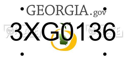 3XG0136 Georgia License Plate