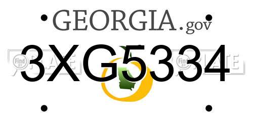 3XG5334 Georgia License Plate