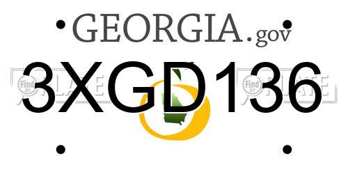 3XGD136 Georgia License Plate