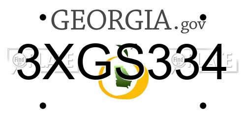 3XGS334 Georgia License Plate