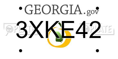 3XKE42 Georgia License Plate