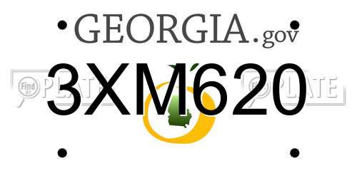 3XM620 Georgia License Plate