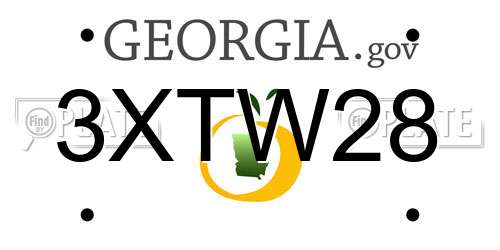 3XTW28 Georgia License Plate