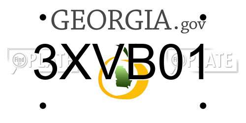 3XVB01 Georgia License Plate