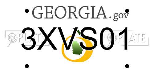 3XVS01 Georgia License Plate
