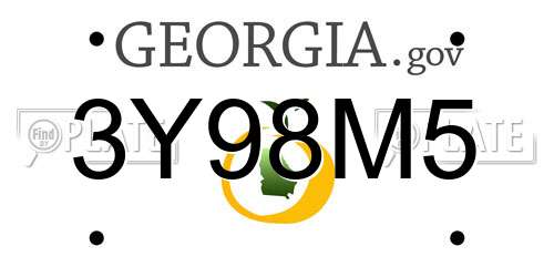 3Y98M5 Georgia License Plate