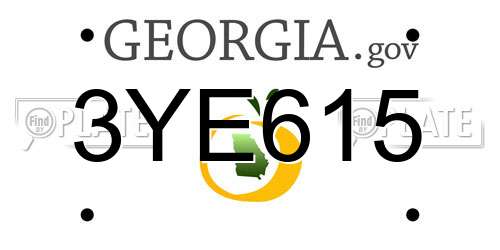 3YE615 Georgia License Plate
