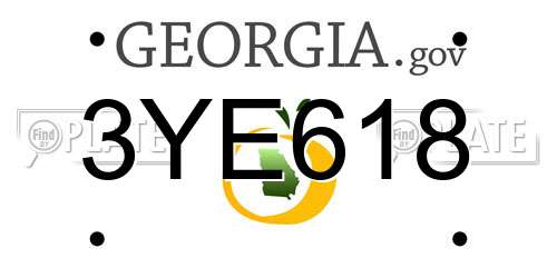 3YE618 Georgia License Plate