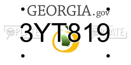 3YT819 Georgia License Plate