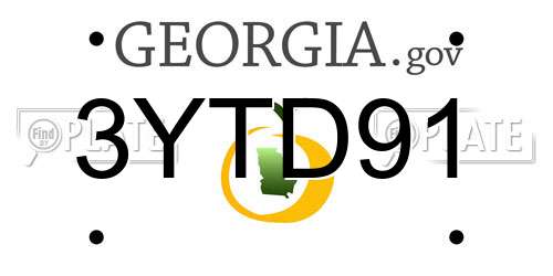 3YTD91 Georgia License Plate