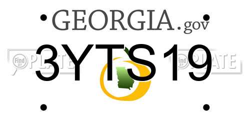 3YTS19 Georgia License Plate