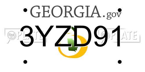 3YZD91 Georgia License Plate