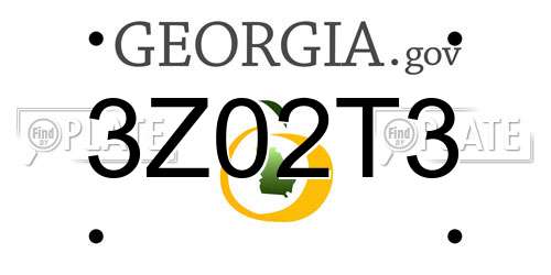 3Z02T3 Georgia License Plate