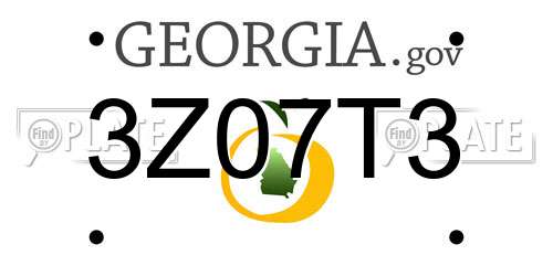 3Z07T3 Georgia License Plate