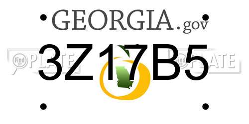 3Z17B5 Georgia License Plate