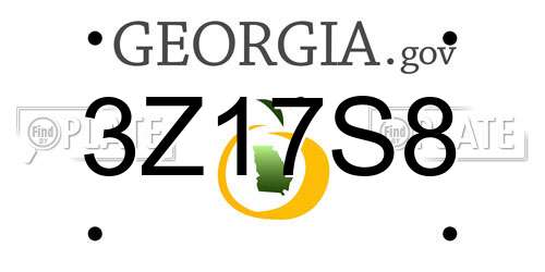3Z17S8 Georgia License Plate