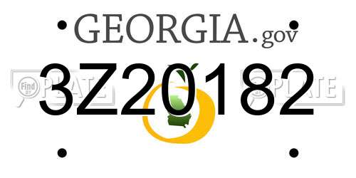 3Z20182 Georgia License Plate
