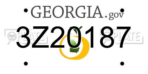3Z20187 Georgia License Plate
