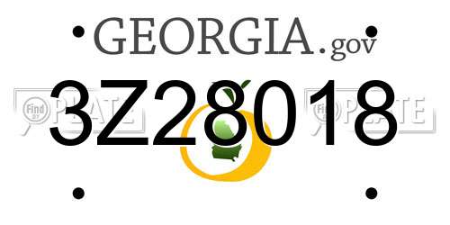 3Z28018 Georgia License Plate