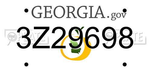 3Z29698 Georgia License Plate