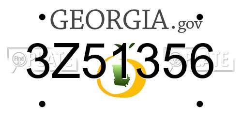 3Z51356 Georgia License Plate