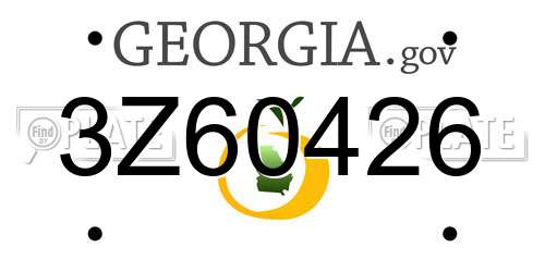 3Z60426 Georgia License Plate