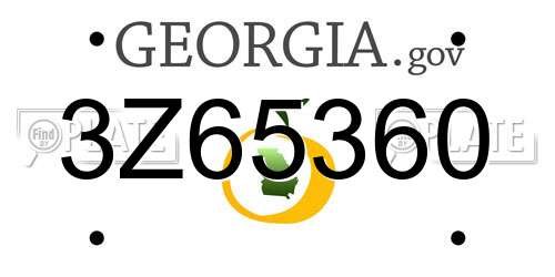 3Z65360 Georgia License Plate