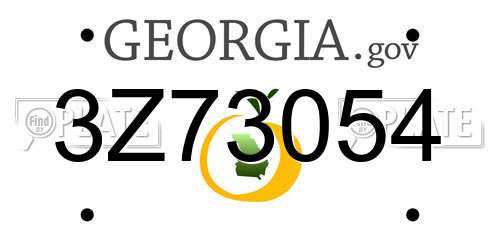 3Z73054 Georgia License Plate