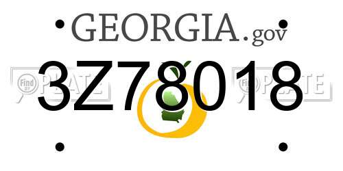 3Z78018 Georgia License Plate