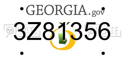 3Z81356 Georgia License Plate