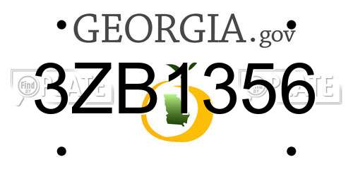 3ZB1356 Georgia License Plate