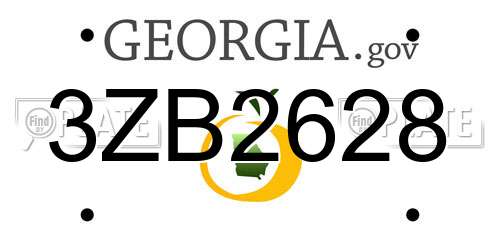 3ZB2628 Georgia License Plate